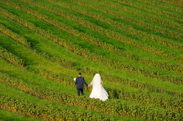 Lyckliga bruden och brudgummen på grön växt — Stockfoto