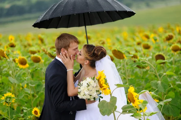 Glückliche Braut und Bräutigam zur Hochzeit — Stockfoto