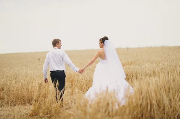 Glückliche Braut und Bräutigam zur Hochzeit — Stockfoto