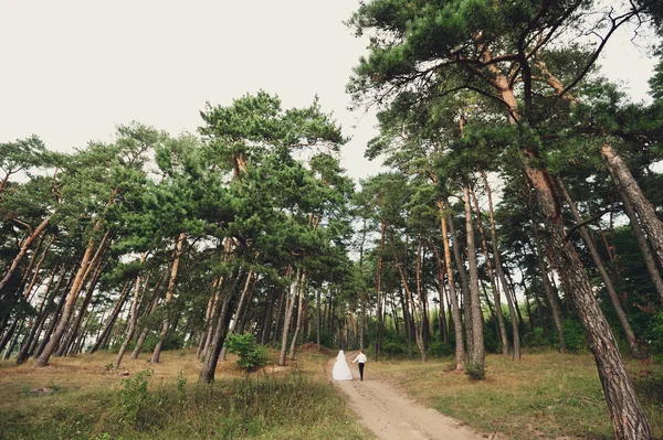 Felice sposa e lo sposo sul loro matrimonio — Foto Stock