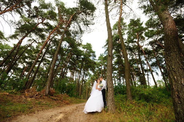 Noiva feliz e noivo em seu casamento — Fotografia de Stock