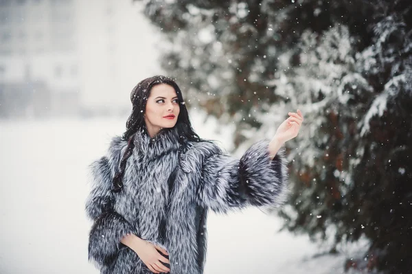 Retrato de invierno de chica de belleza con nieve — Foto de Stock