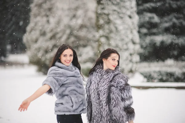 Ragazze divertenti godendo il tempo invernale — Foto Stock