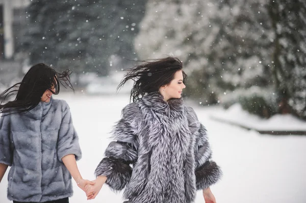 Ragazze divertenti godendo il tempo invernale — Foto Stock