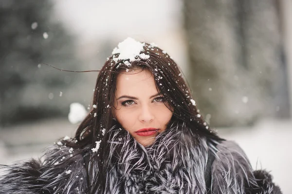 Retrato de invierno de chica de belleza con nieve — Foto de Stock