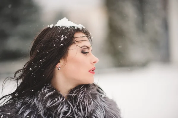 Winter Porträt der Schönheit Mädchen mit Schnee — Stockfoto