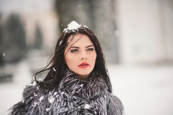 Retrato de invierno de chica de belleza con nieve — Foto de Stock