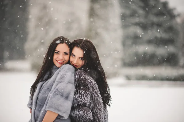 Grappige meisjes genieten van het winterweer — Stockfoto