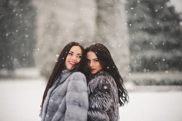 Chicas divertidas disfrutando del clima de invierno — Foto de Stock