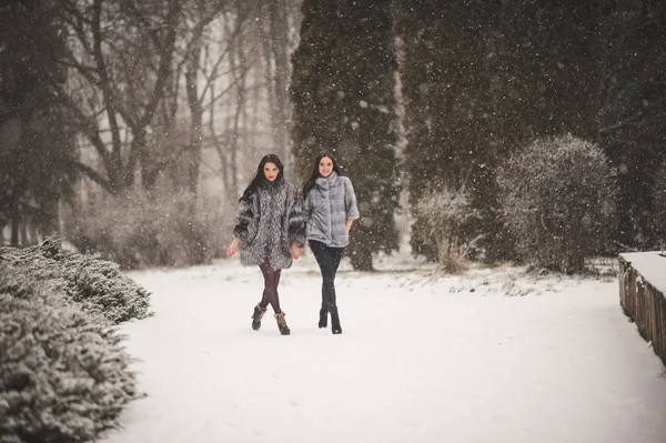 Chicas divertidas disfrutando del clima de invierno — Foto de Stock