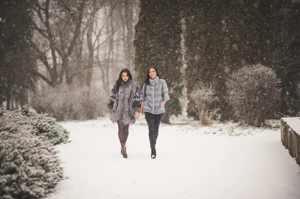 Meninas engraçadas desfrutando do tempo de inverno — Fotografia de Stock