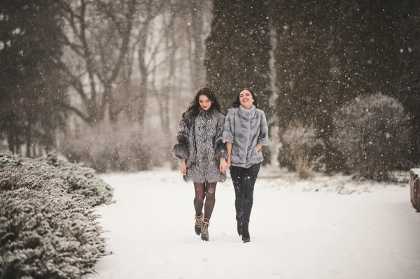 Ragazze divertenti godendo il tempo invernale — Foto Stock