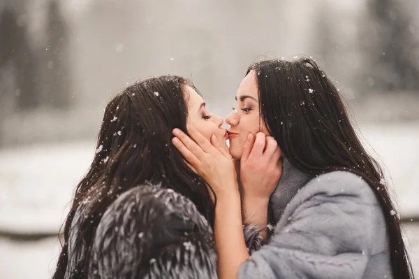 Ragazze divertenti godendo il tempo invernale — Foto Stock