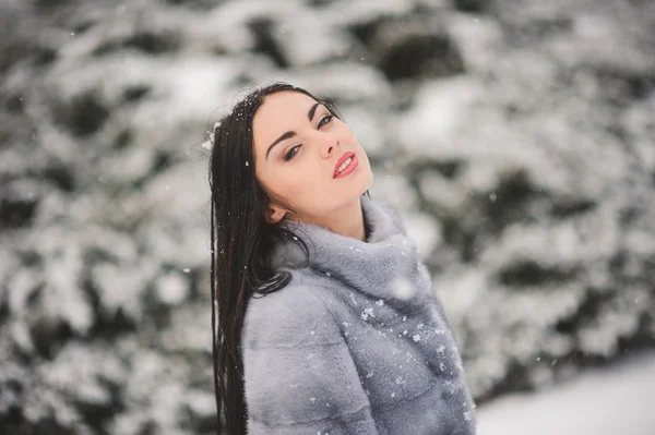 Vinter porträtt av skönhet flicka med snö — Stockfoto
