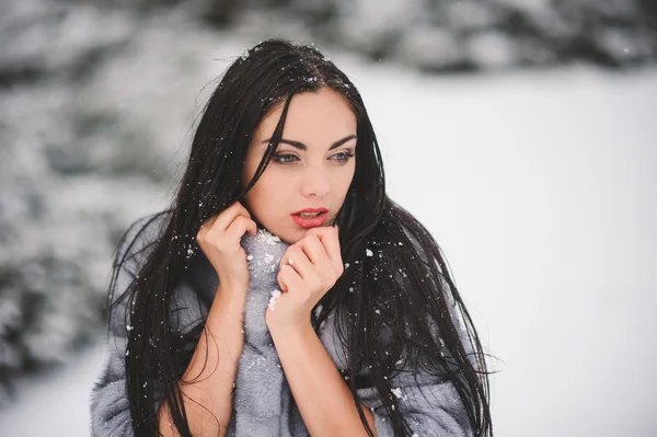 Retrato de inverno da menina beleza com neve — Fotografia de Stock