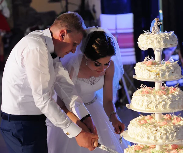 Mariée et marié Couper le gâteau de mariage — Photo