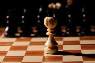 Ahşap Satranç taşları