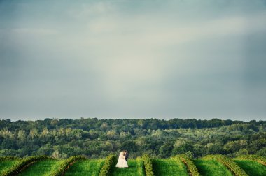 Mutlu gelin ve damat yeşil bitki üzerinde