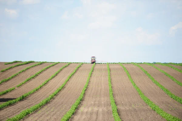 Traktor på gröna fält och blå himmel — Stockfoto