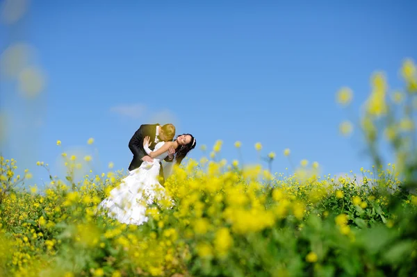 Glückliche Braut und Bräutigam zur Hochzeit — Stockfoto