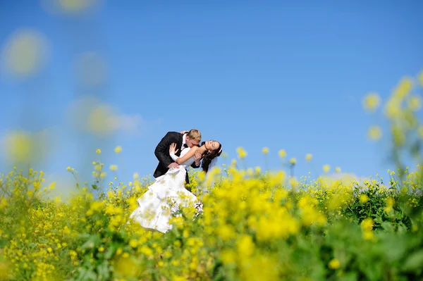 Noiva feliz e noivo em seu casamento — Fotografia de Stock