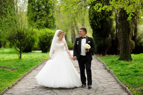 Feliz novia y novio en su boda — Foto de Stock