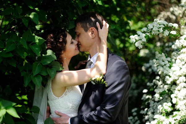 Noiva feliz e noivo em seu casamento — Fotografia de Stock