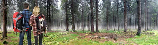 Para wędrówki przez las mglisty — Zdjęcie stockowe
