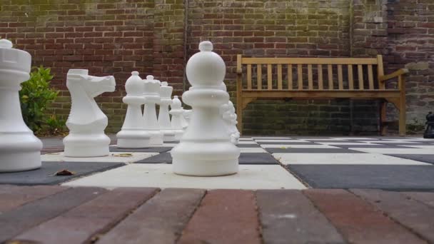 People plays chess outdoor — Stock Video