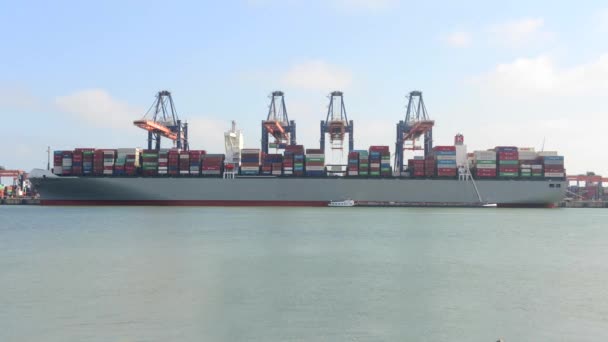 Navio contentor a ser descarregado no porto de Roterdão — Vídeo de Stock