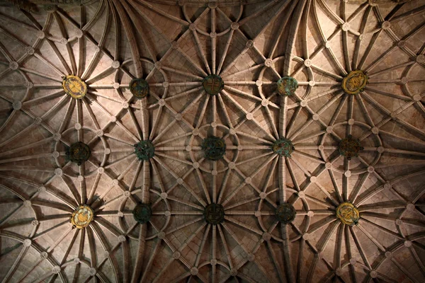 Teto da catedral — Fotografia de Stock