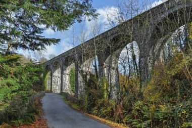 Dramatik yedi kemerli kireçtaşı Durrow Viyadük, tarihi demiryolu simgesi Waterford Greenway, sonbahar, insan yok.