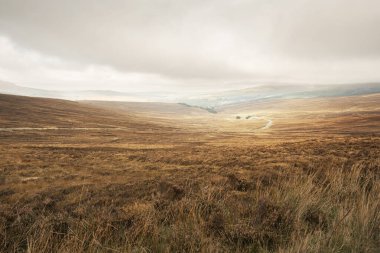 Dar dağ yolu (R759 Yolu, Sally Gap Yolu) ile sonbahar bozkırı, sert fundalık, toprak tonlar ve sisli ufuk, sakin ve ıssız.