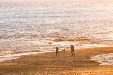 Vahşi İrlanda sahillerinde insan pulu, kumsalda çift ve köpek engin deniz ile altın sonbahar öğleden sonra