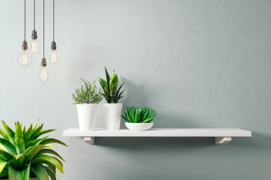 3D ev bitkileriyle sahte duvar oluşturma