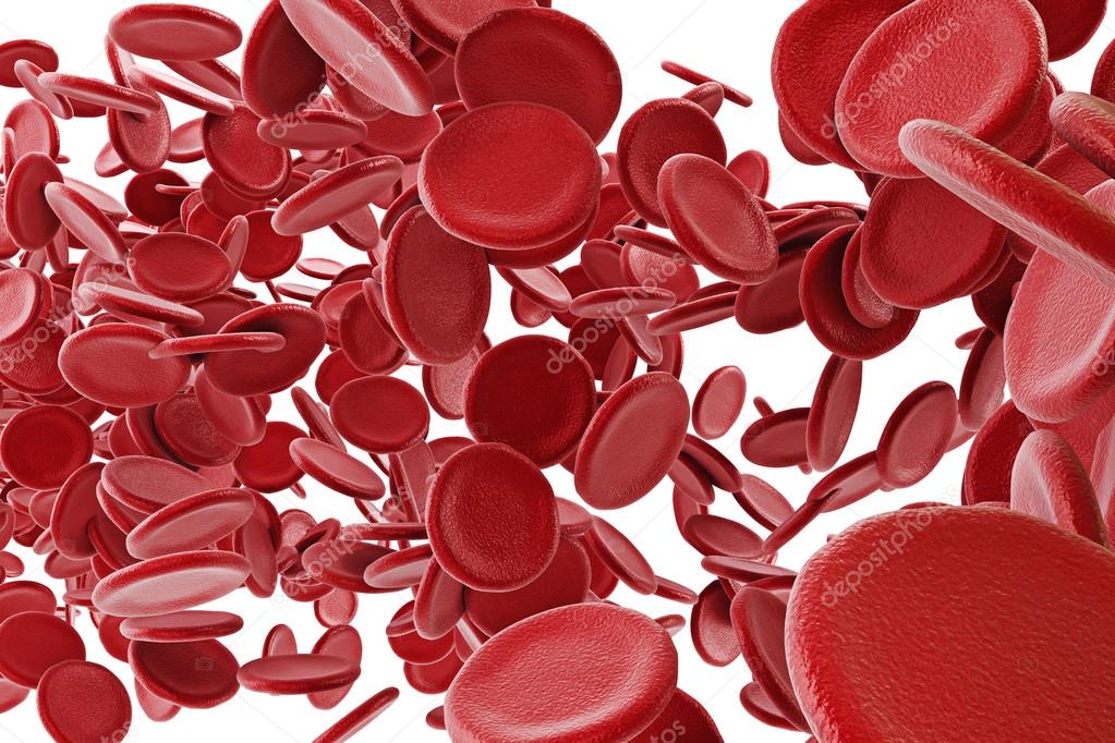 3d red blood cells