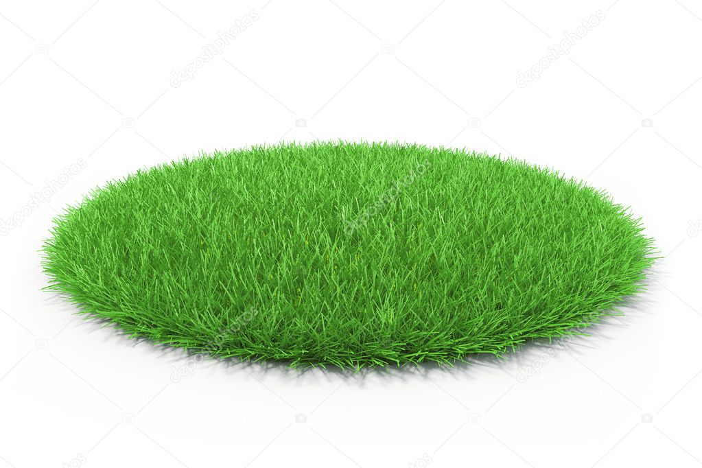 3d fresh green grass on white background