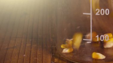 Laboratuvar yemek nem ve ağırlık için doldurma Mısır tohum test