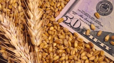 Amerika Birleşik Devletleri hasat buğday mahsulleri fiyat