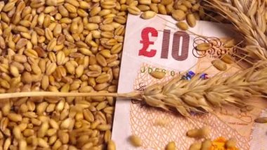 İngiltere'de hasat buğday mahsulleri fiyat