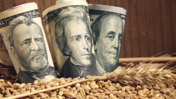小麦收获利润在美国 — 图库视频影像