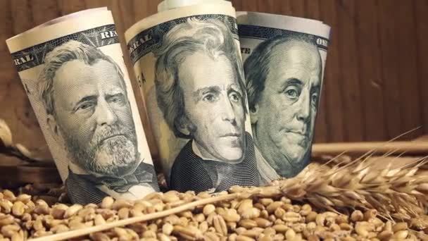Úspěšné zemědělské produkce, takže zisk po sklizni pšenice v Americe — Stock video