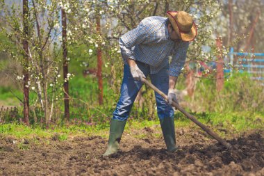 Sebze Bahçe toprak karık arası çapa adam
