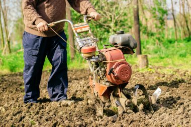Man preparing garden soil with cultivator tiller clipart
