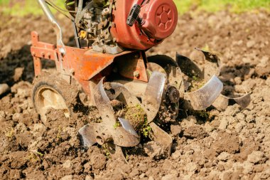 Preparing garden soil with cultivator tiller clipart