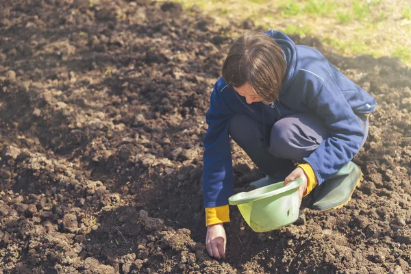 Mujer sembrando cebollas en huerta ecológica — Foto de Stock