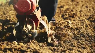 Adam Kültivatör yeke ile Bahçe toprak hazırlama