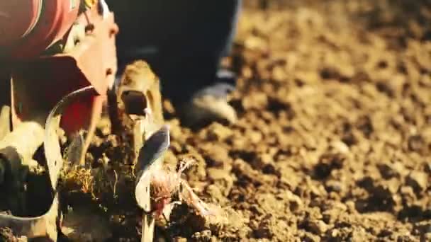 Homem preparando solo de jardim com cultivador de perfilhos — Vídeo de Stock