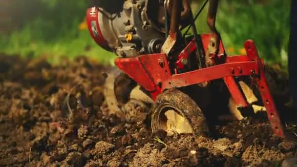 Homem preparando solo de jardim com cultivador de perfilhos — Vídeo de Stock