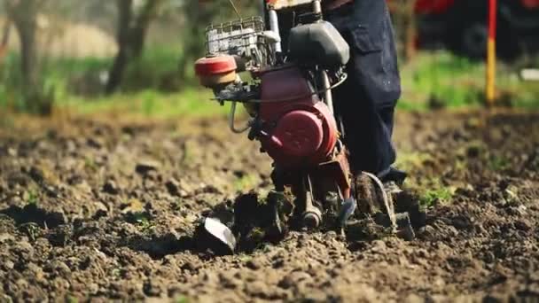 Mann bereitet Gartenboden mit Grubberfräse vor — Stockvideo